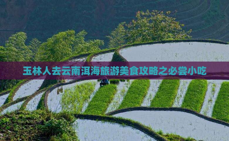 玉林人去云南洱海旅游美食攻略之必尝小吃
