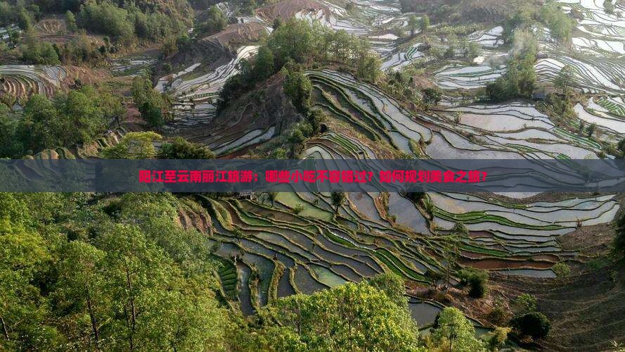 阳江至云南丽江旅游：哪些小吃不容错过？如何规划美食之旅？
