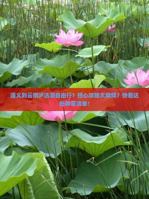 遵义到云南泸沽湖自由行？担心攻略太麻烦？快看这份种草清单！
