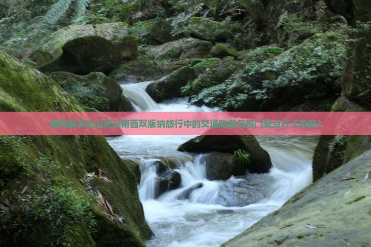 如何解决文山到云南西双版纳旅行中的交通难题与热门景点打卡攻略？