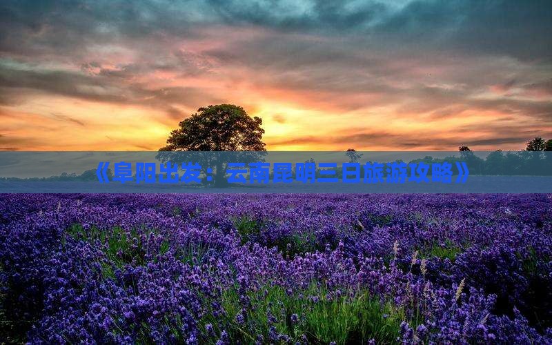 《阜阳出发：云南昆明三日旅游攻略》