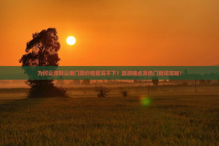 为何云浮到云南门票价格居高不下？旅游痛点及热门新词攻略！