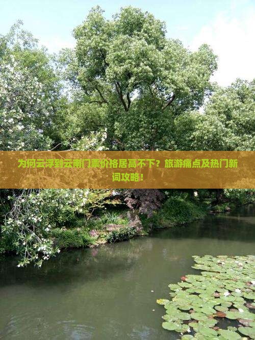 为何云浮到云南门票价格居高不下？旅游痛点及热门新词攻略！