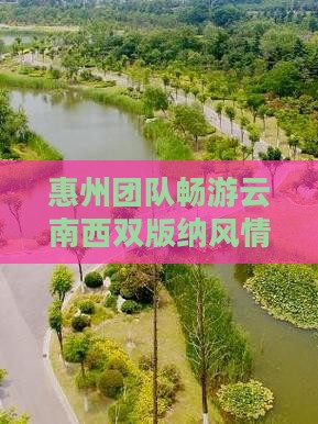 惠州团队畅游云南西双版纳风情之旅