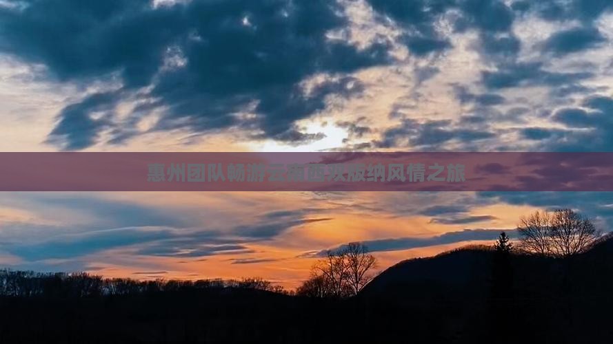 惠州团队畅游云南西双版纳风情之旅