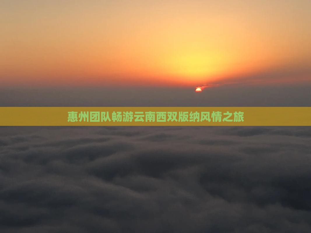 惠州团队畅游云南西双版纳风情之旅