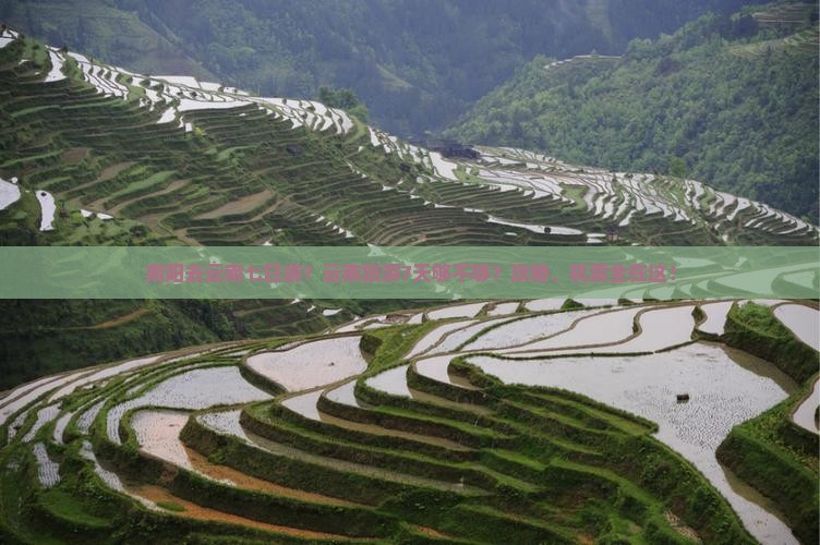 南阳去云南七日游？云南旅游7天够不够？攻略、机票全在这！