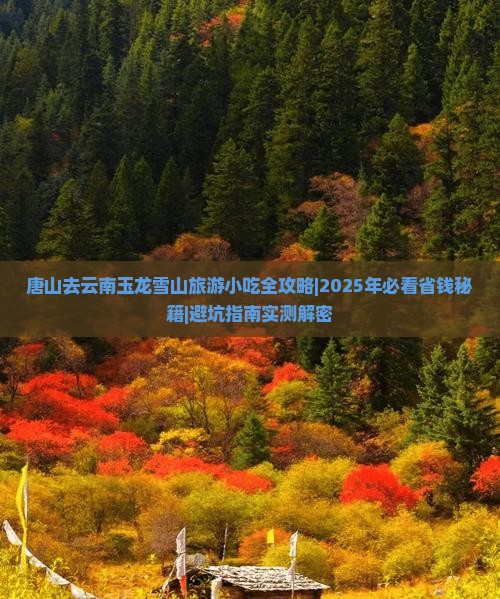 唐山去云南玉龙雪山旅游小吃