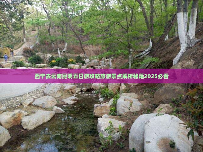 西宁去云南昆明五日游