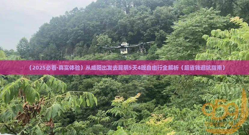 咸阳去云南昆明五日游