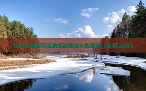 永新去云南西双版纳旅游小吃