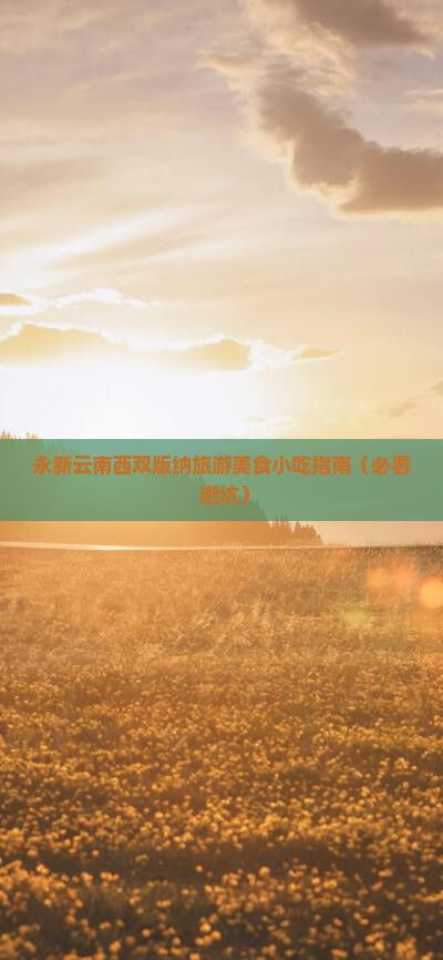 永新去云南西双版纳旅游小吃