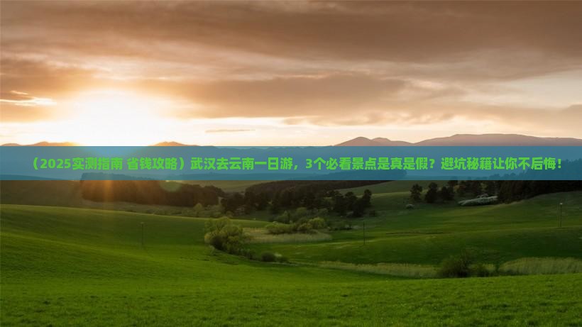武汉去云南一日