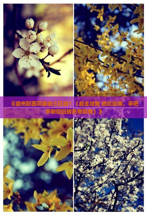 德州到云南西双版纳三日游