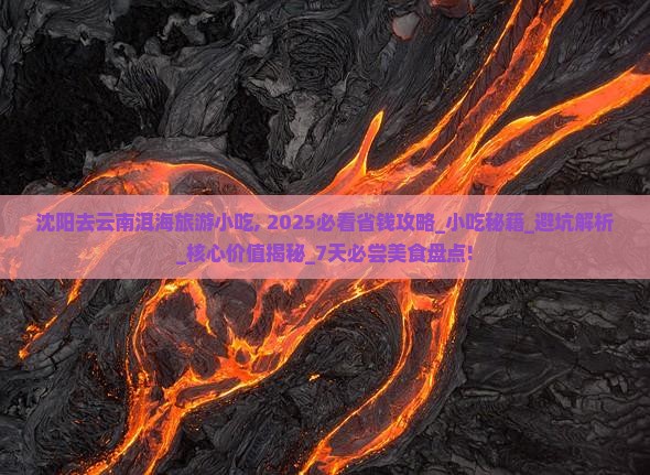 沈阳去云南洱海旅游小吃
