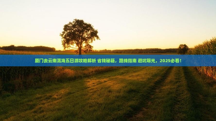 厦门去云南洱海五日游