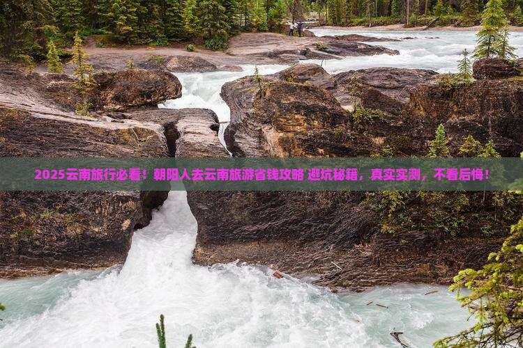 朝阳去云南旅游