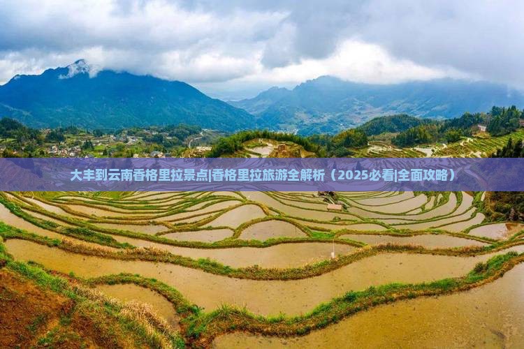 大丰到云南香格里拉景点