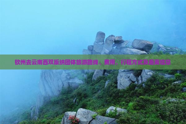 钦州去云南西双版纳团体旅游