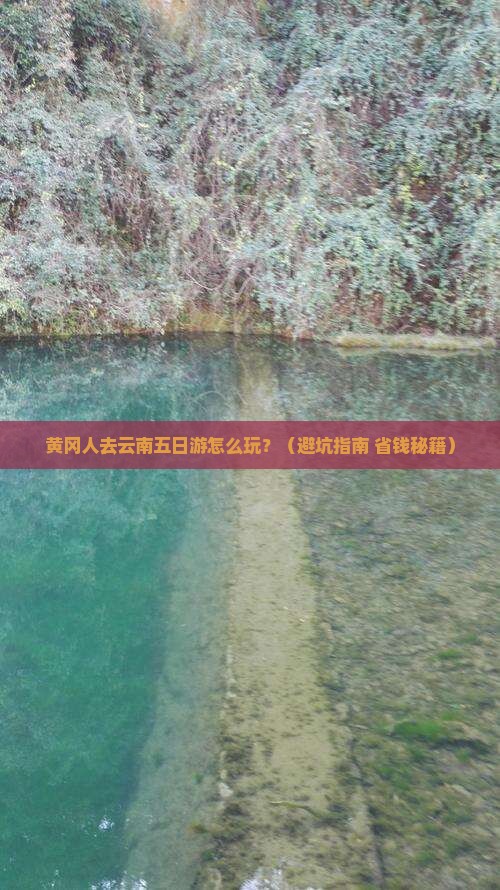 黄冈去云南五日游