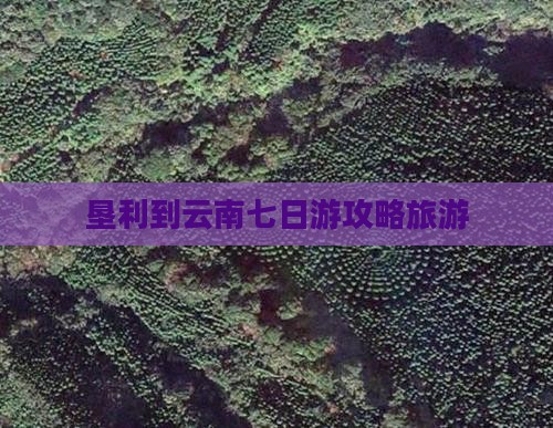 垦利到云南七日游