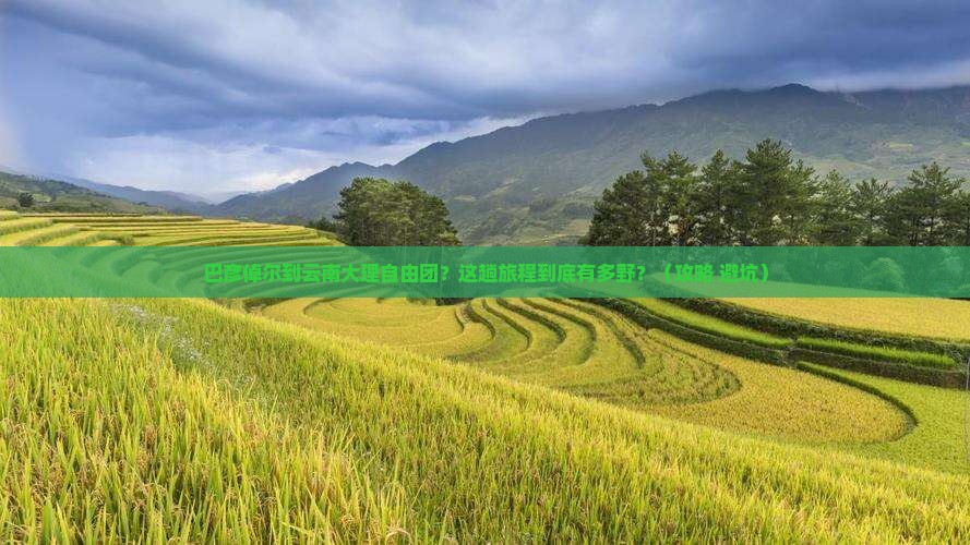 巴彦倬尔到云南大理自由团