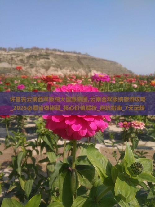 许昌去云南西双版纳大型旅游团