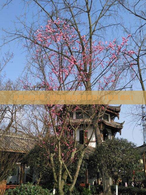 恩施到云南昆明旅游