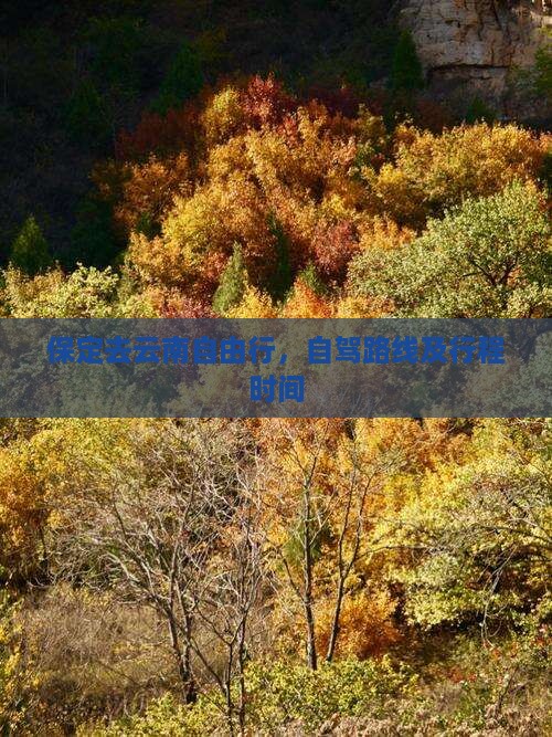 保定去云南自由行