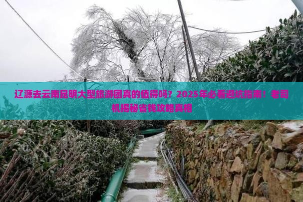 辽源去云南昆明大型旅游团