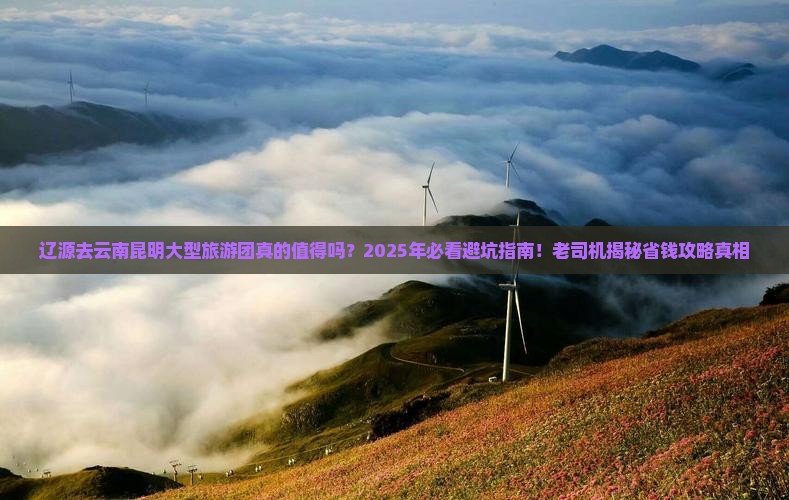 辽源去云南昆明大型旅游团