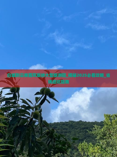 白城到云南西双版纳大型旅游团