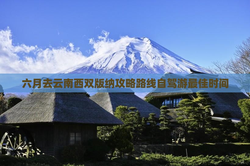 六月去云南西双版纳攻略
