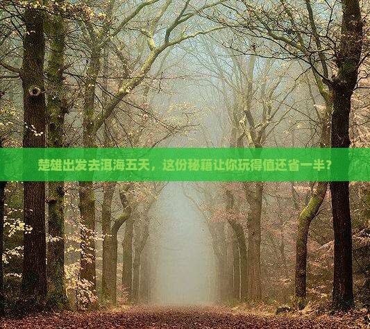 楚雄去云南洱海五日游