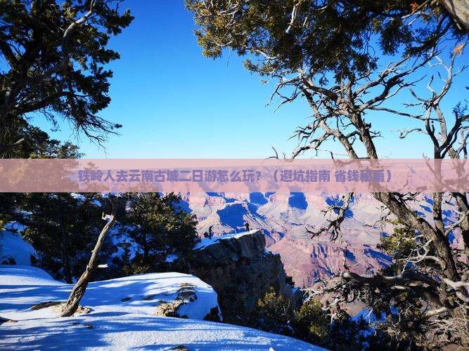 铁岭到云南古城二日游
