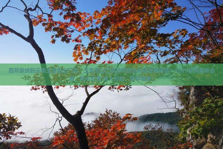 西双版纳到云南玉龙雪山门票
