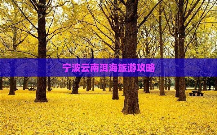 宁波去云南洱海个人游