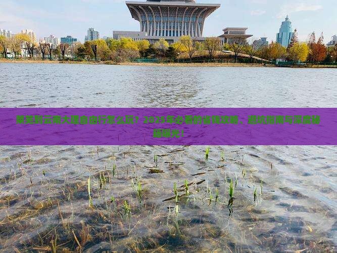 莱芜到云南大理自由行
