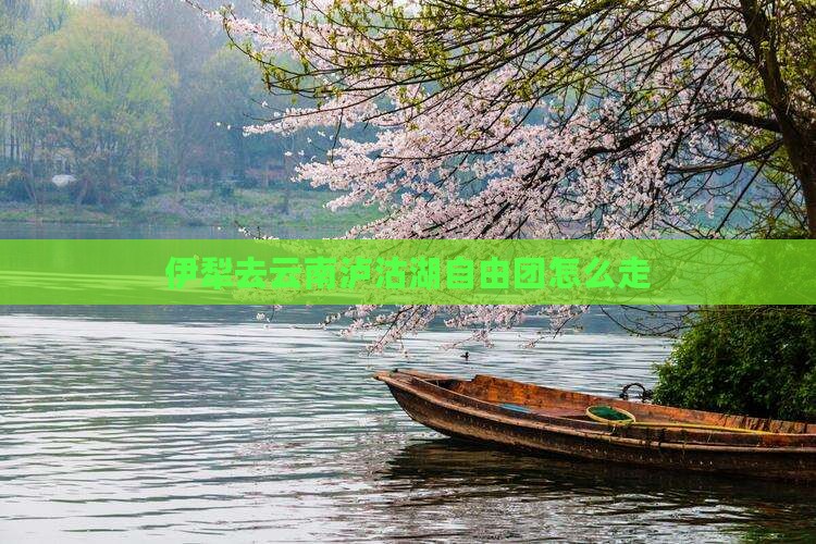 伊犁去云南泸沽湖自由团