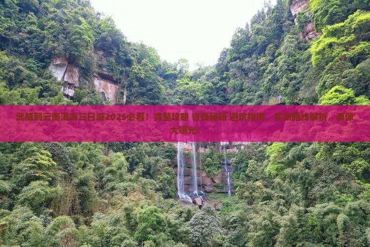 武威到云南洱海三日游