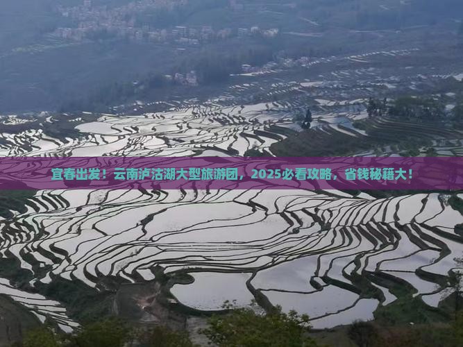 宜春去云南泸沽湖大型旅游团