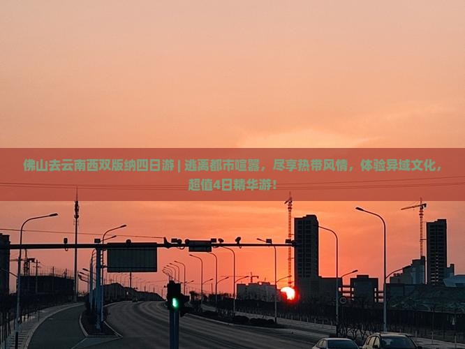 佛山去云南西双版纳四日游