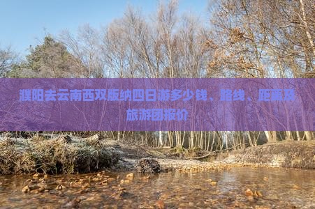 濮阳去云南西双版纳四日游