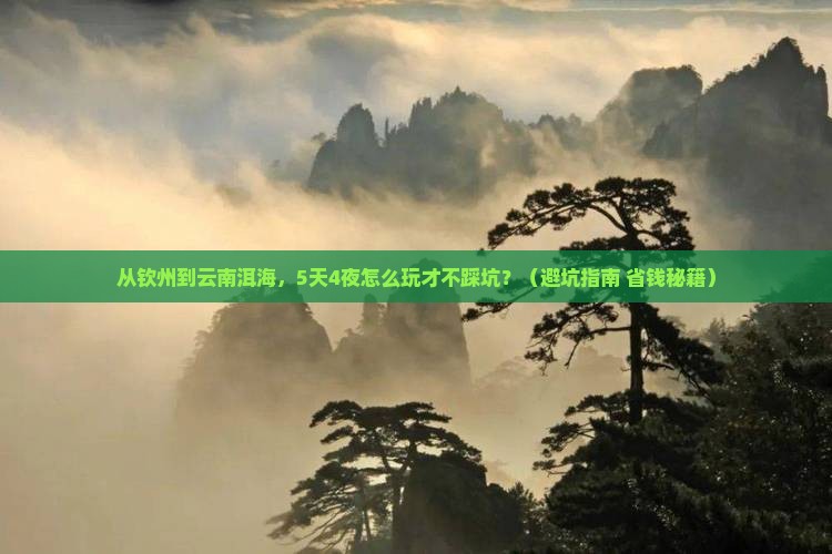 钦州到云南洱海大型旅游团