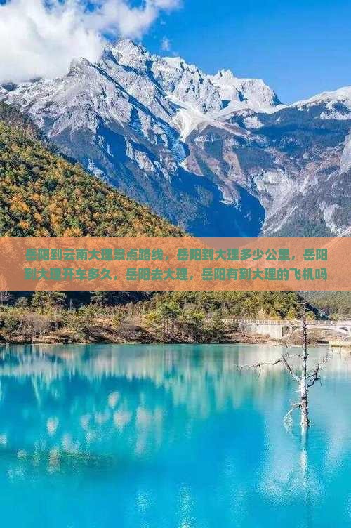 岳阳到云南大理景点