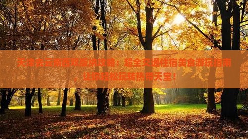 天津去云南西双版纳攻略