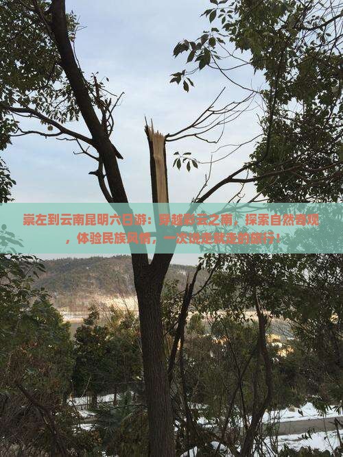 崇左到云南昆明六日游