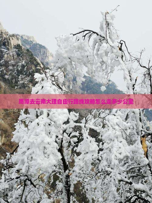 鹰潭去云南大理自由行