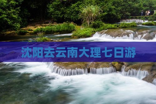 沈阳去云南大理七日游