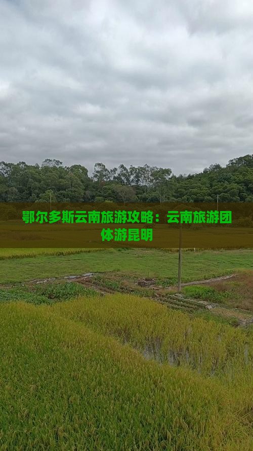 鄂尔多斯去云南昆明团体旅游